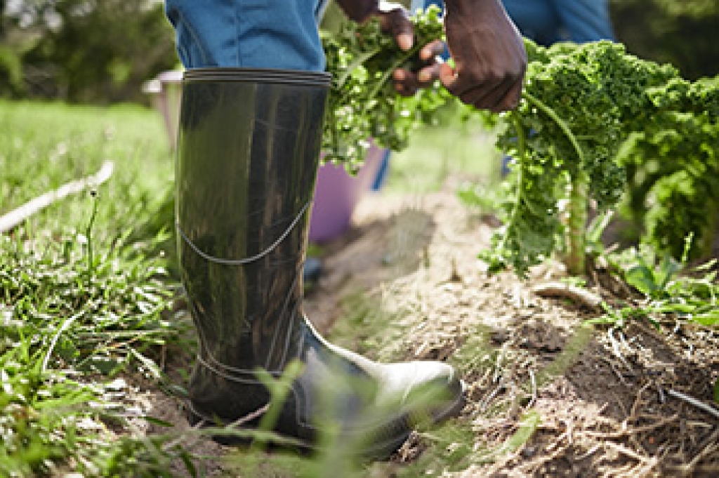 https://www.fieldandmoor.co.uk/blogs/news/the-benefits-of-good-quality-gardening-shoes-tending-your-land-in-comfort-and-style?srsltid=AfmBOorL19xH8SslUuVR8cHUAg2XKTUzB4kkTer6MzpqBVuz4-_FGWgp
